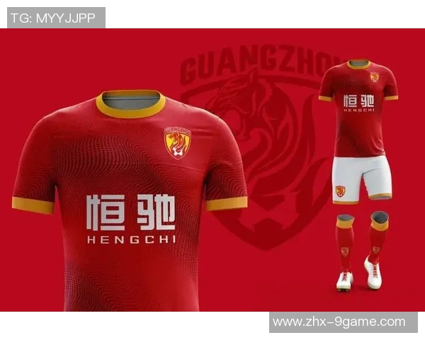 深入了解球队历史与文化的全面简介与分析